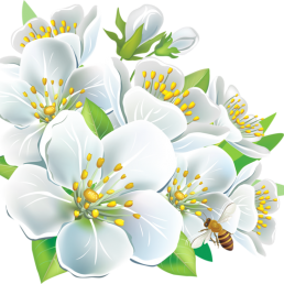 WHITE FLOWER COLLECTION FOR SPUC