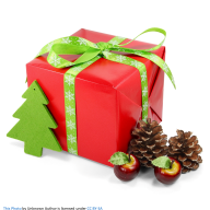 SAVE THE DATE, 2:  CHRISTMAS HAMPER RAFFLE 2025: