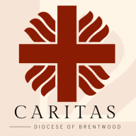 CARITAS BRENTWOOD NETWORKING DAY