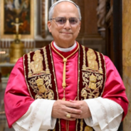 PRAYER FOR POPE LEO XIV