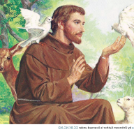 THE LEGACY OF ST FRANCIS